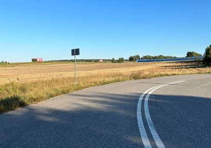 działka na sprzedaż - Dmosin, Nowostawy Dolne