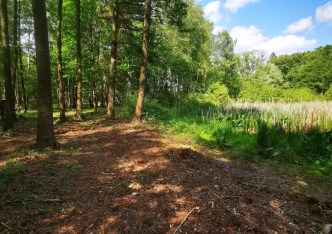 działka na sprzedaż - Stryków (gw), Anielin Swędowski